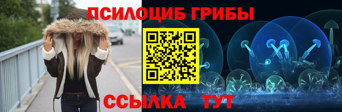 Урюпинск  Псилоцибиновые грибы мухоморы  Вход с VPN  Галлюциногенные грибы GOLDEN TEACHER 